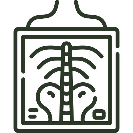 Digital X-Ray